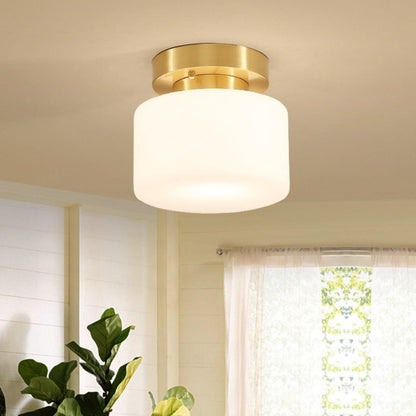 Clinio Flush Mount Overhead light Ceiling Light