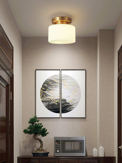 Clinio Flush Mount Overhead light Ceiling Light