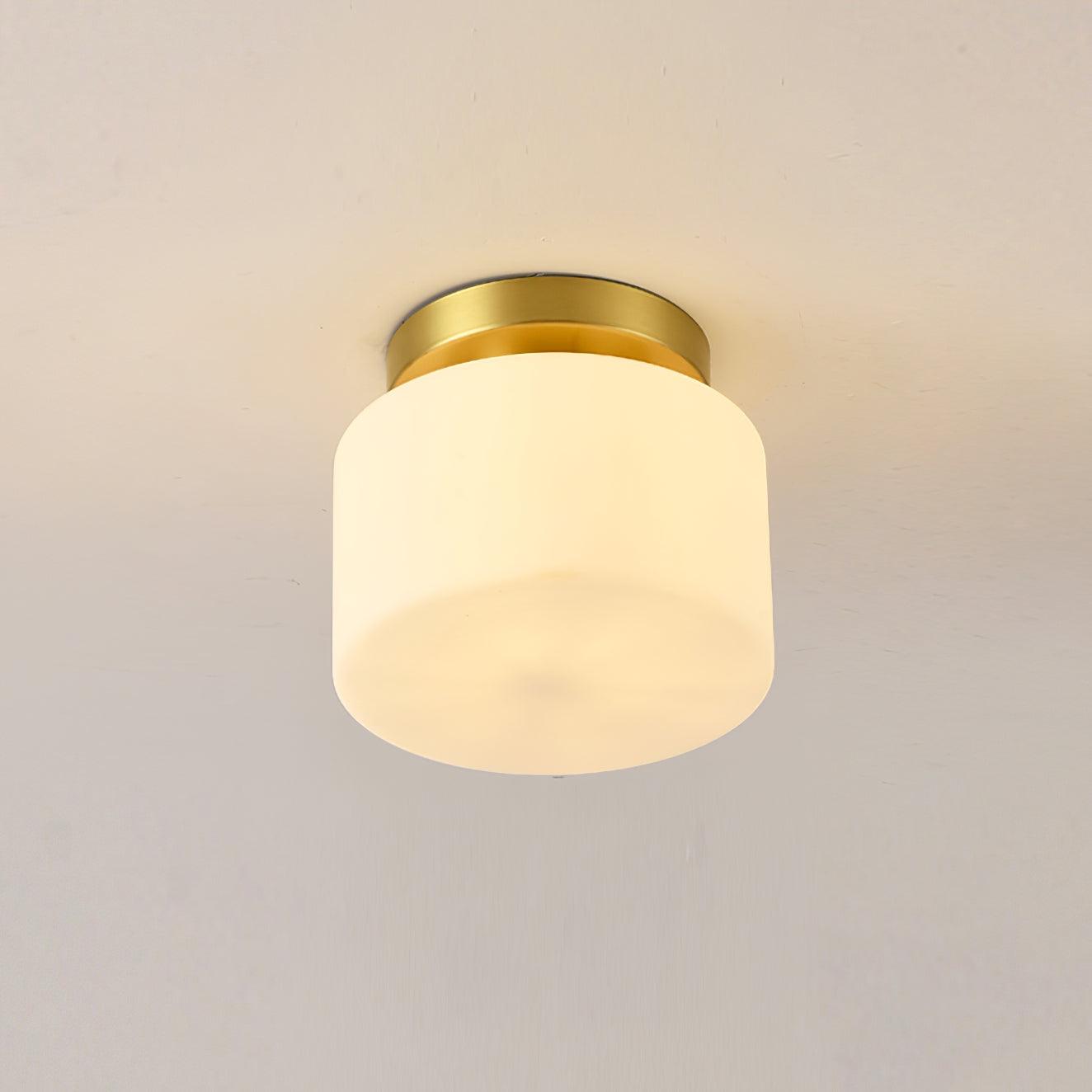 Clinio Flush Mount Overhead light Ceiling Light