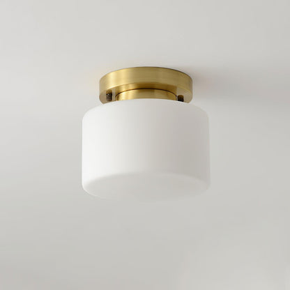 Clinio Flush Mount Overhead light Ceiling Light