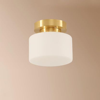 Clinio Flush Mount Overhead light Ceiling Light