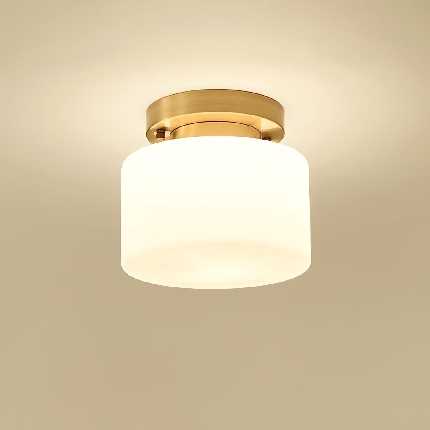 Clinio Flush Mount Overhead light Ceiling Light