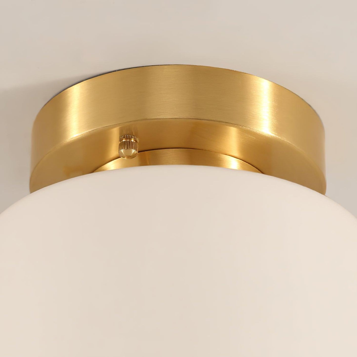 Clinio Flush Mount Overhead light Ceiling Light