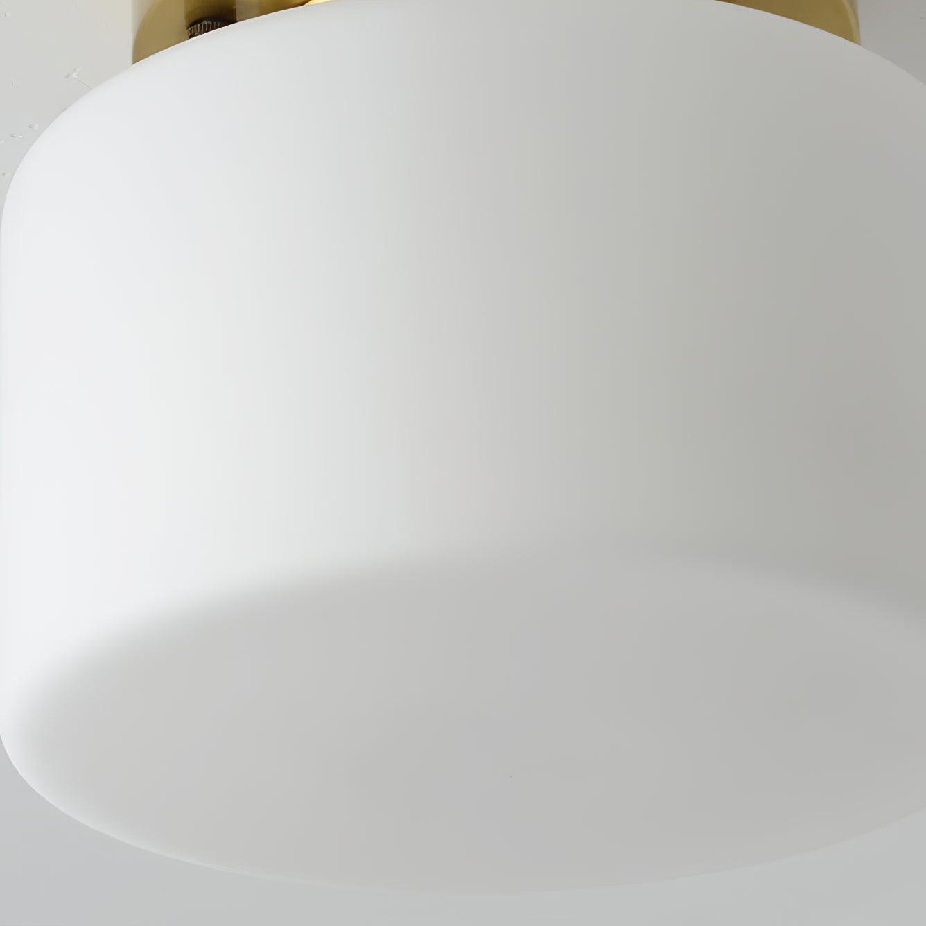 Clinio Flush Mount Overhead light Ceiling Light