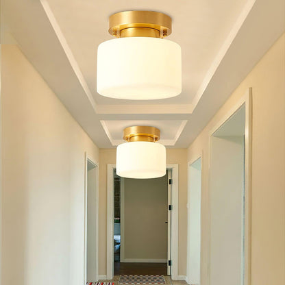 Clinio Flush Mount Overhead light Ceiling Light