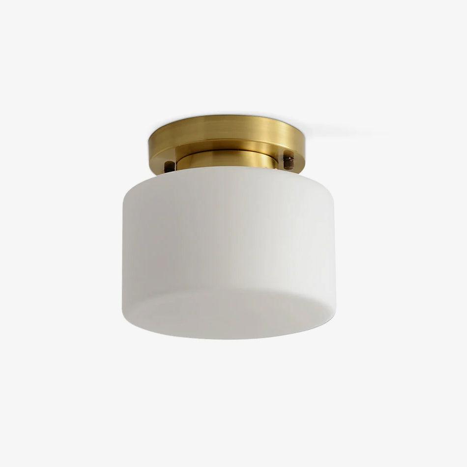 Clinio Flush Mount Overhead light Ceiling Light