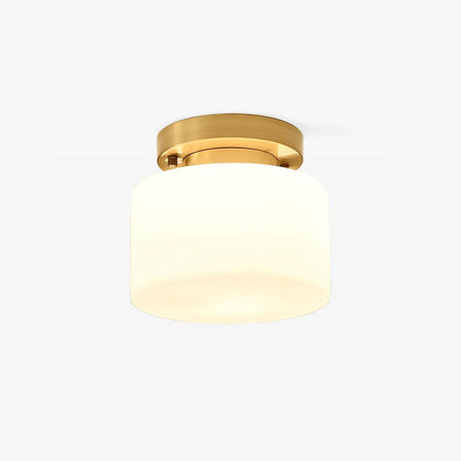 Clinio Flush Mount Overhead light Ceiling Light