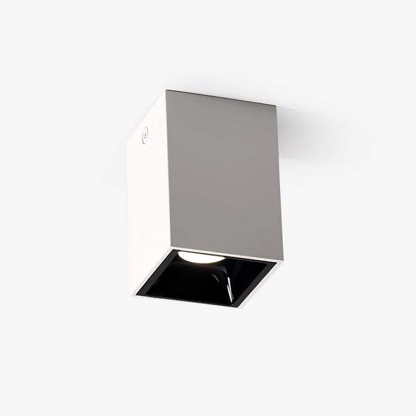 Cube Overhead fixture Spotlight