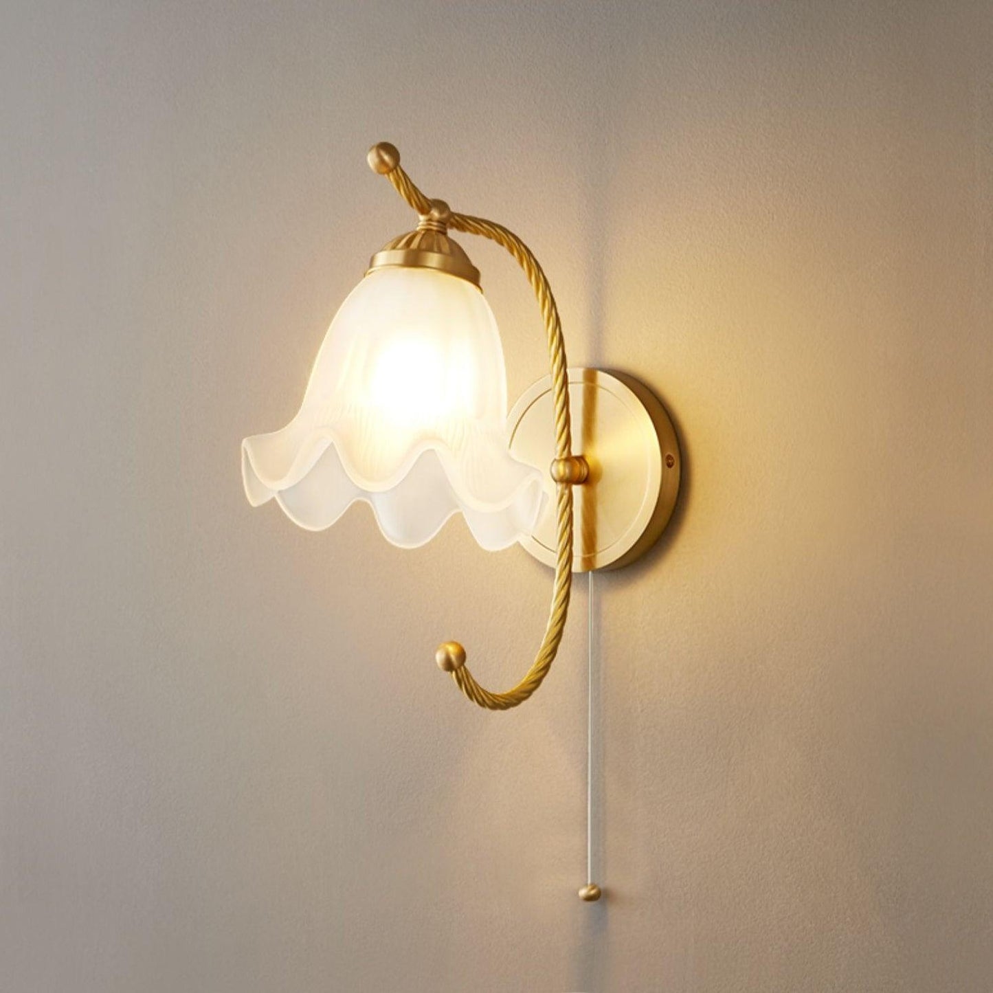 Curved Gooseneck Brass Glass Bracket light Sconce