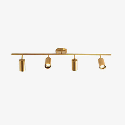 Cylinder Brass Series Overhead fixture Ceiling Lamp