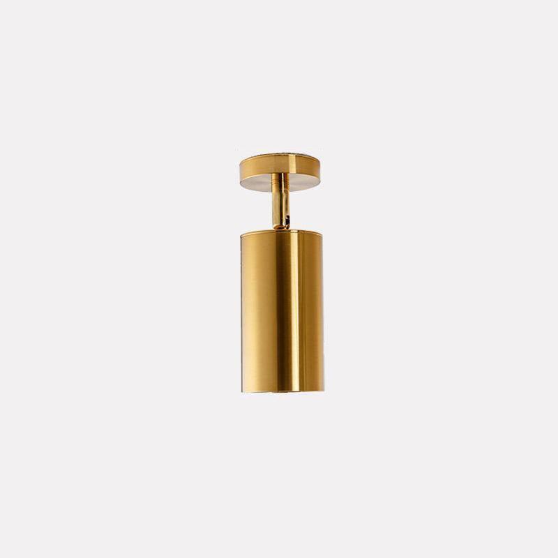 Cylinder Brass Series Overhead fixture Ceiling Lamp