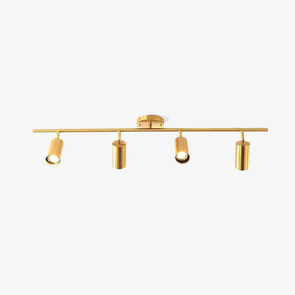 Cylinder Brass Series Overhead fixture Ceiling Lamp