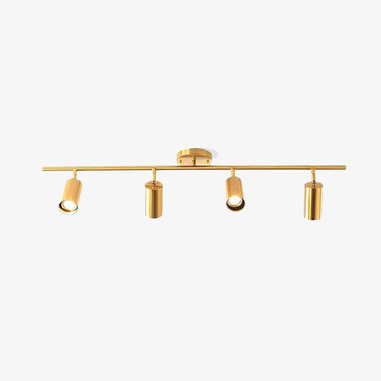 Cylinder Brass Series Overhead fixture Ceiling Lamp