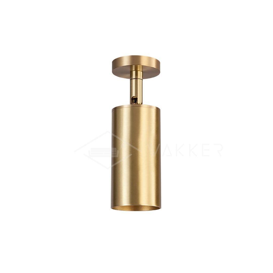 Cylinder Brass Series Overhead fixture Ceiling Lamp