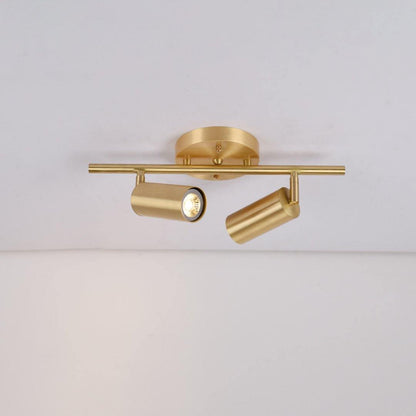 Cylinder Brass Series Overhead fixture Ceiling Lamp