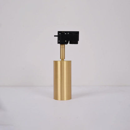 Cylinder Brass Series Overhead fixture Ceiling Lamp