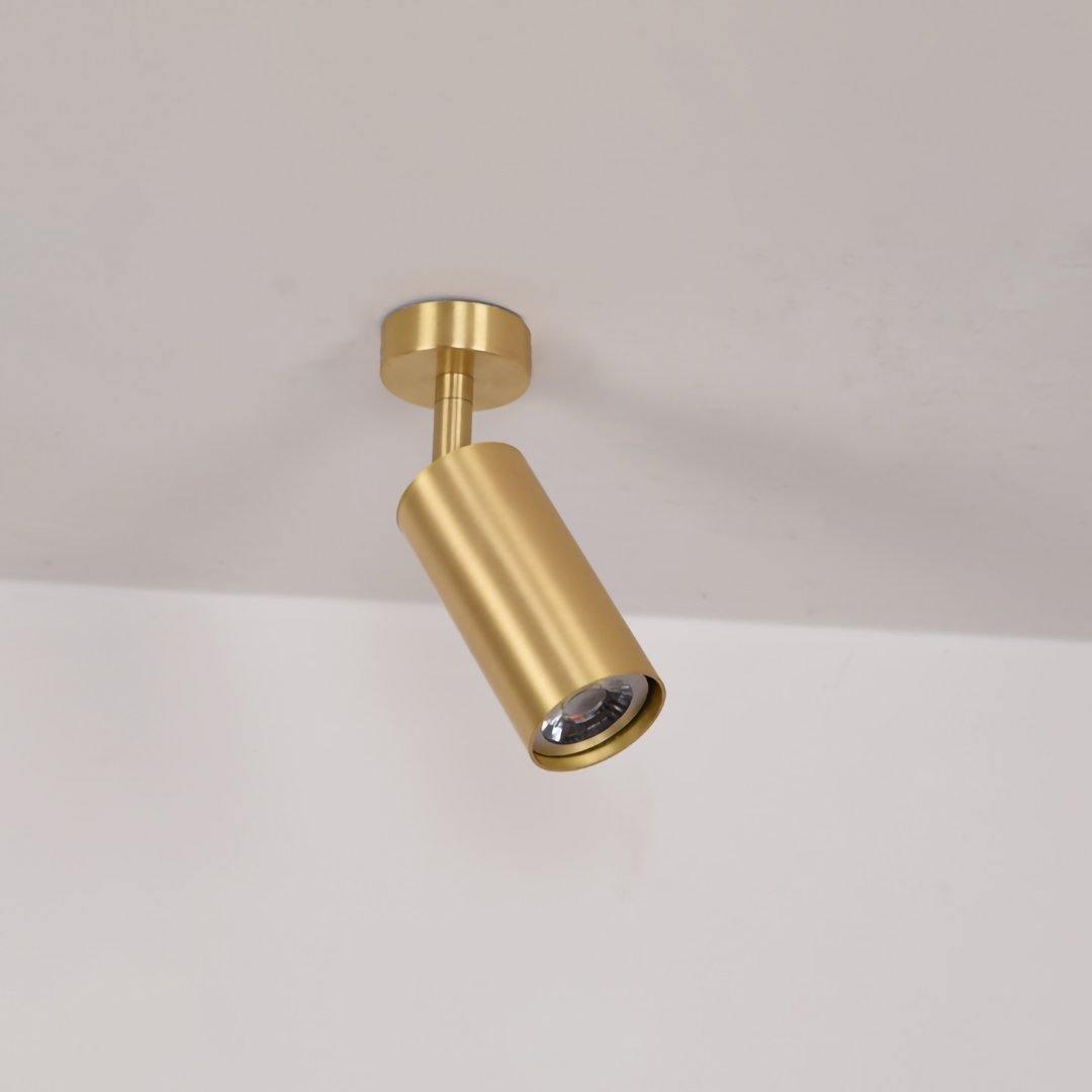 Cylinder Brass Series Overhead fixture Ceiling Lamp