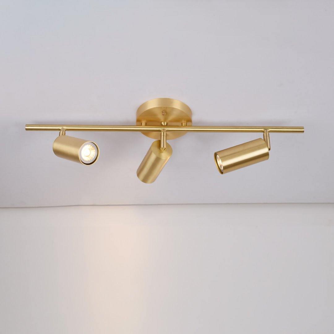 Cylinder Brass Series Overhead fixture Ceiling Lamp