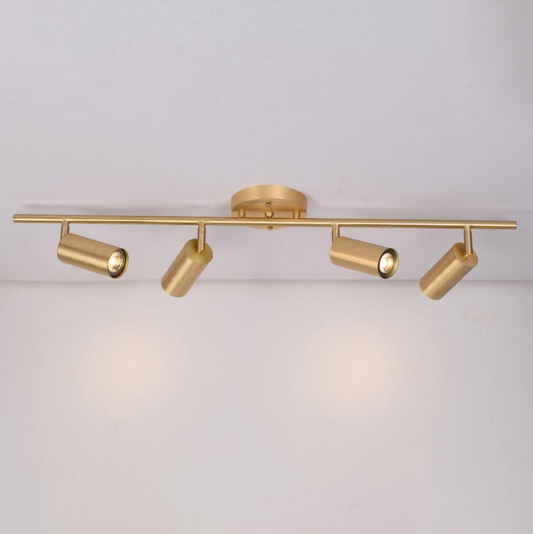 Cylinder Brass Series Overhead fixture Ceiling Lamp