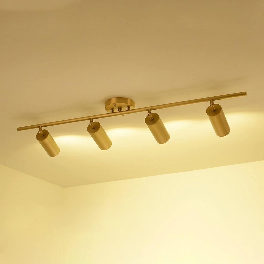 Cylinder Brass Series Overhead fixture Ceiling Lamp