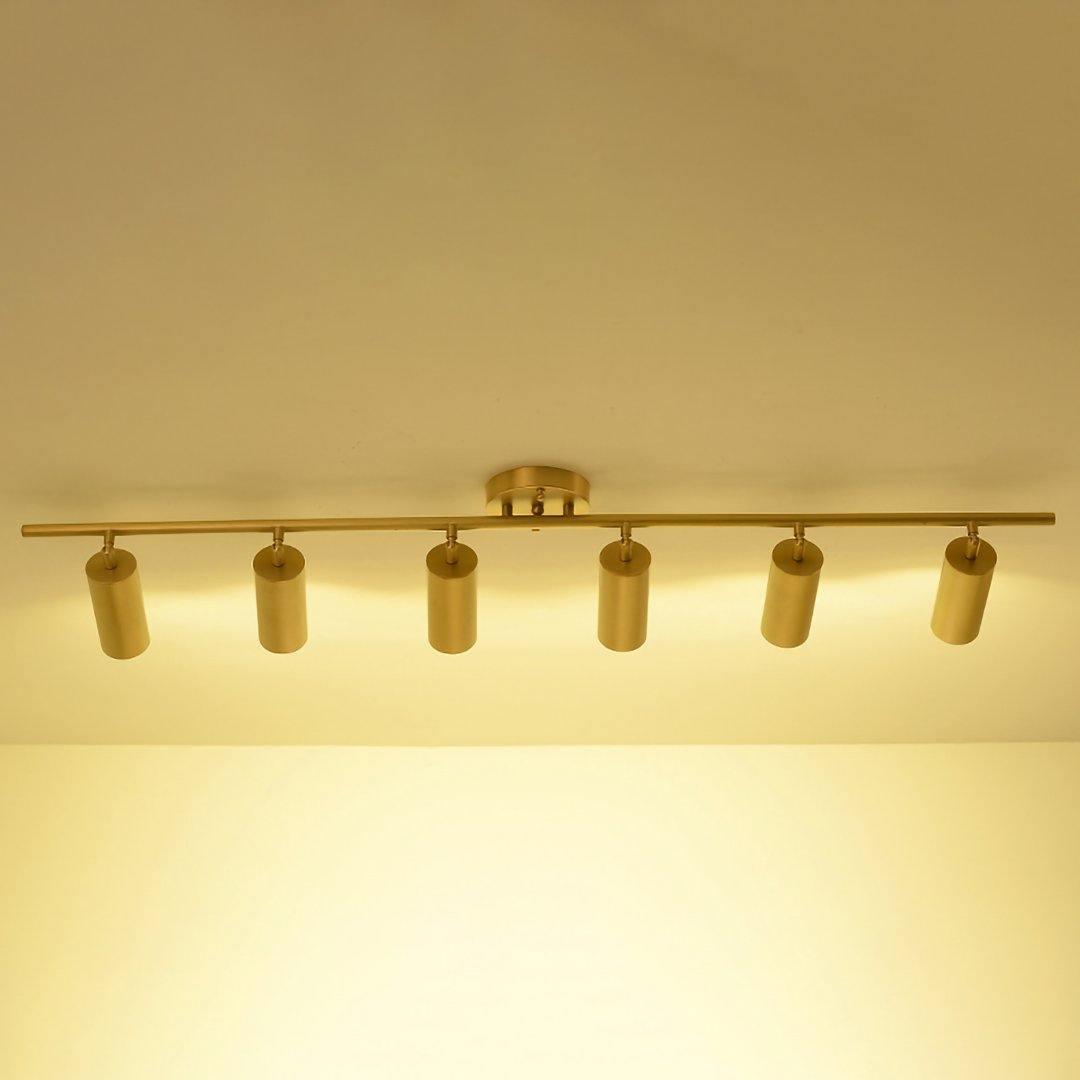 Cylinder Brass Series Overhead fixture Ceiling Lamp