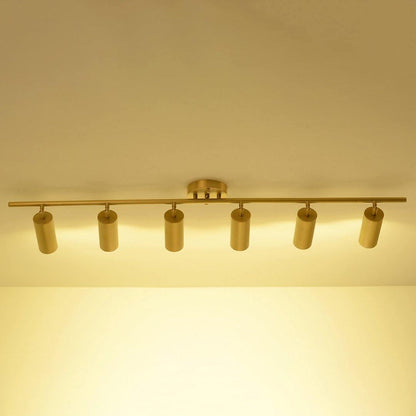 Cylinder Brass Series Overhead fixture Ceiling Lamp