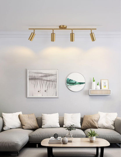 Cylinder Brass Series Overhead fixture Ceiling Lamp