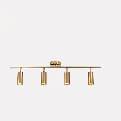 Cylinder Brass Series Overhead fixture Ceiling Lamp