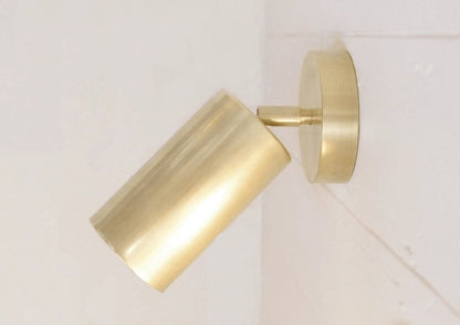 Cylinder Brass Series Overhead fixture Ceiling Lamp