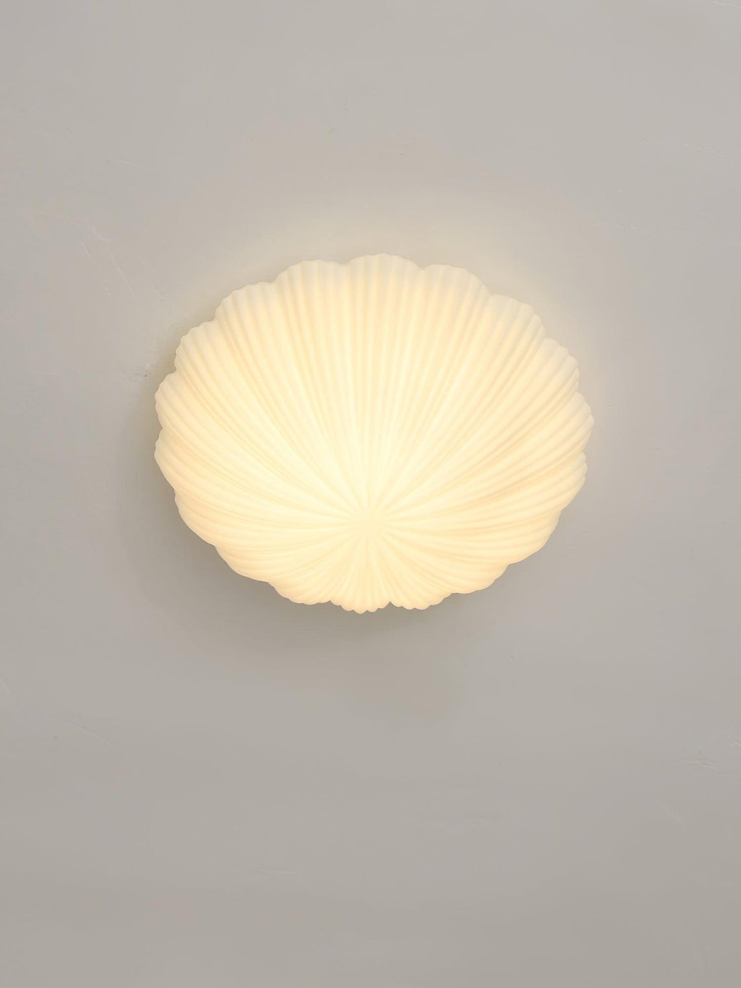 Devan Seashell Overhead fixture Ceiling Lamp