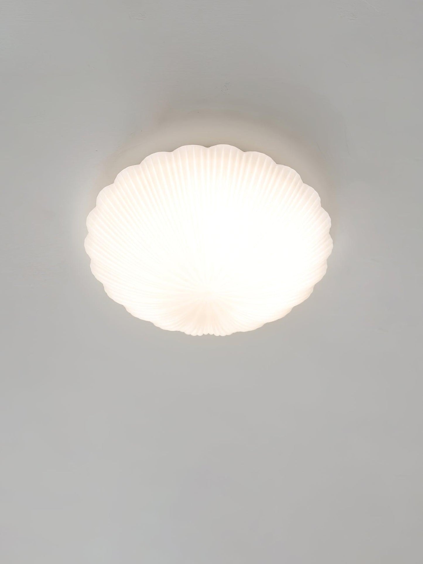 Devan Seashell Overhead fixture Ceiling Lamp