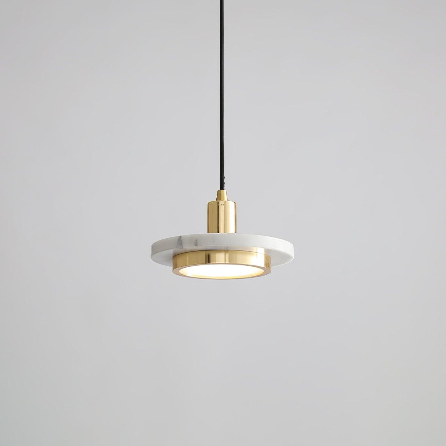 Double Circle Hanging light Pendant Light