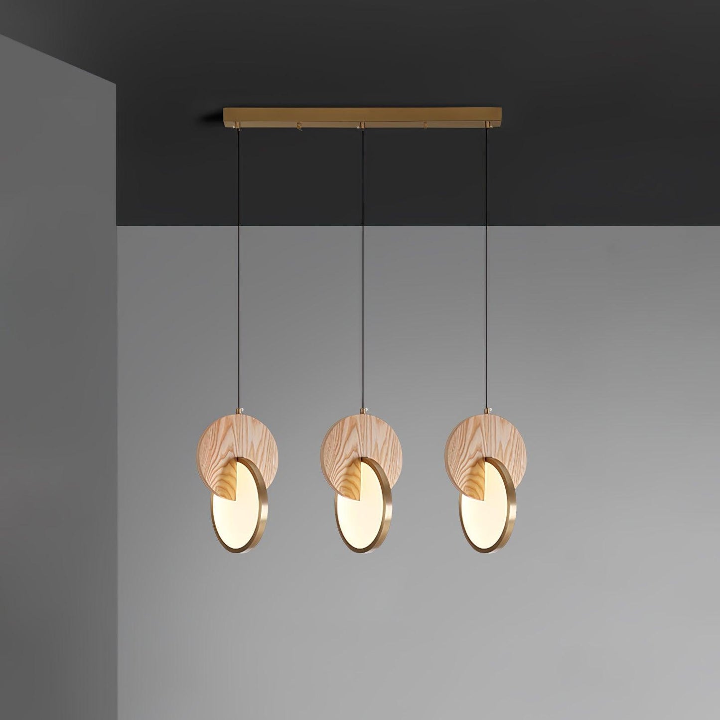 Double Disk Houselight Pendant Lamp