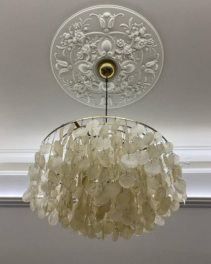 Round Shell Pendant light Chandelier