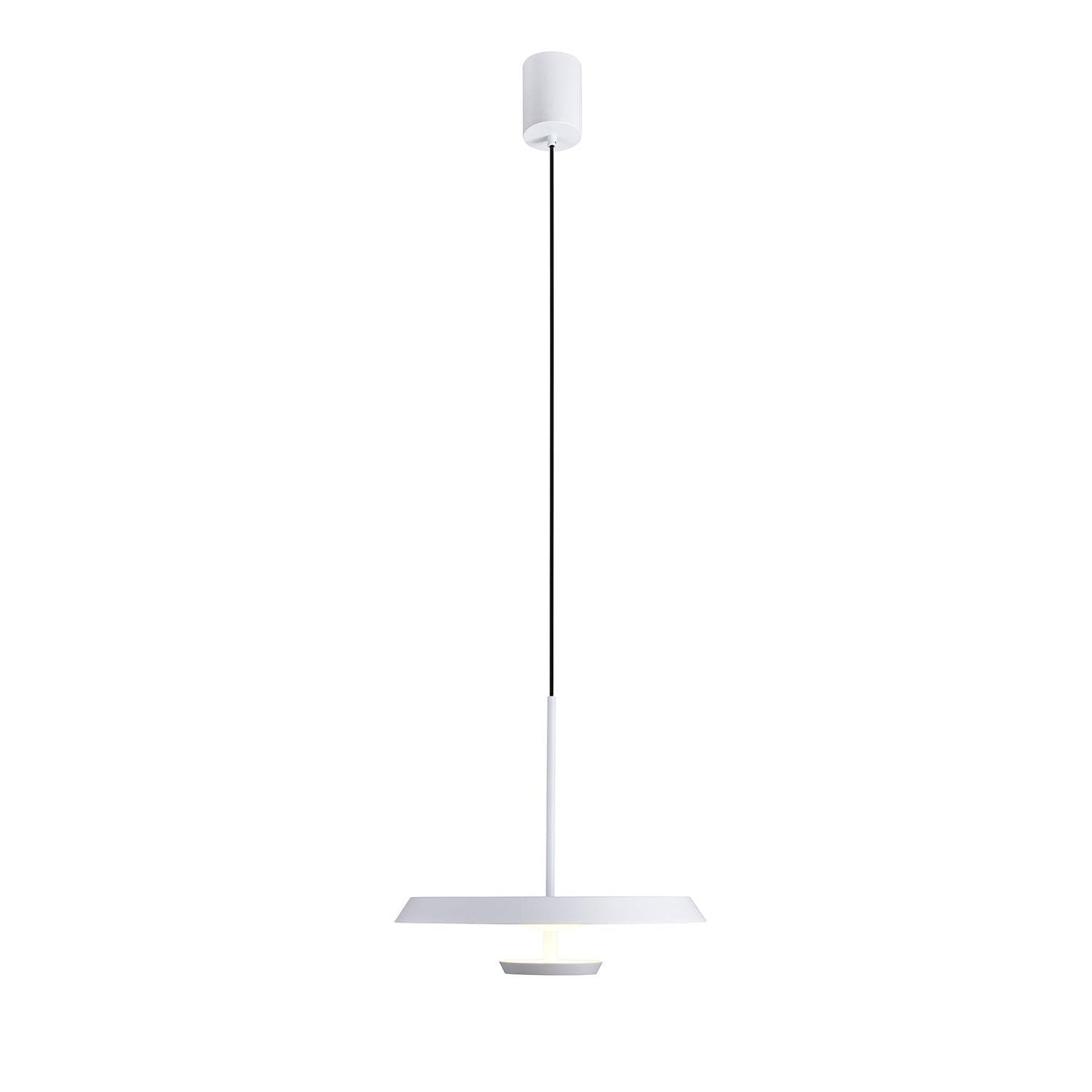 Flat Hanging light Pendant Light