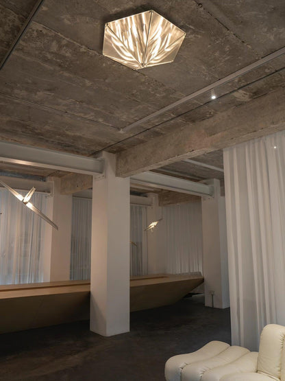 Fragment Ceiling-mounted light Celing Lamp