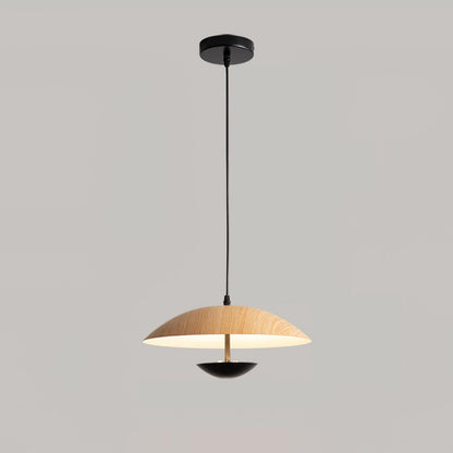 Frisbee Houselight Pendant Lamp