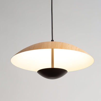 Frisbee Houselight Pendant Lamp