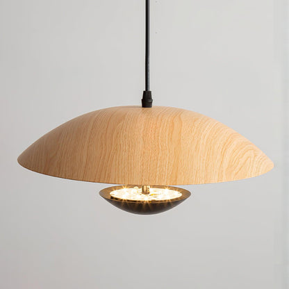 Frisbee Houselight Pendant Lamp