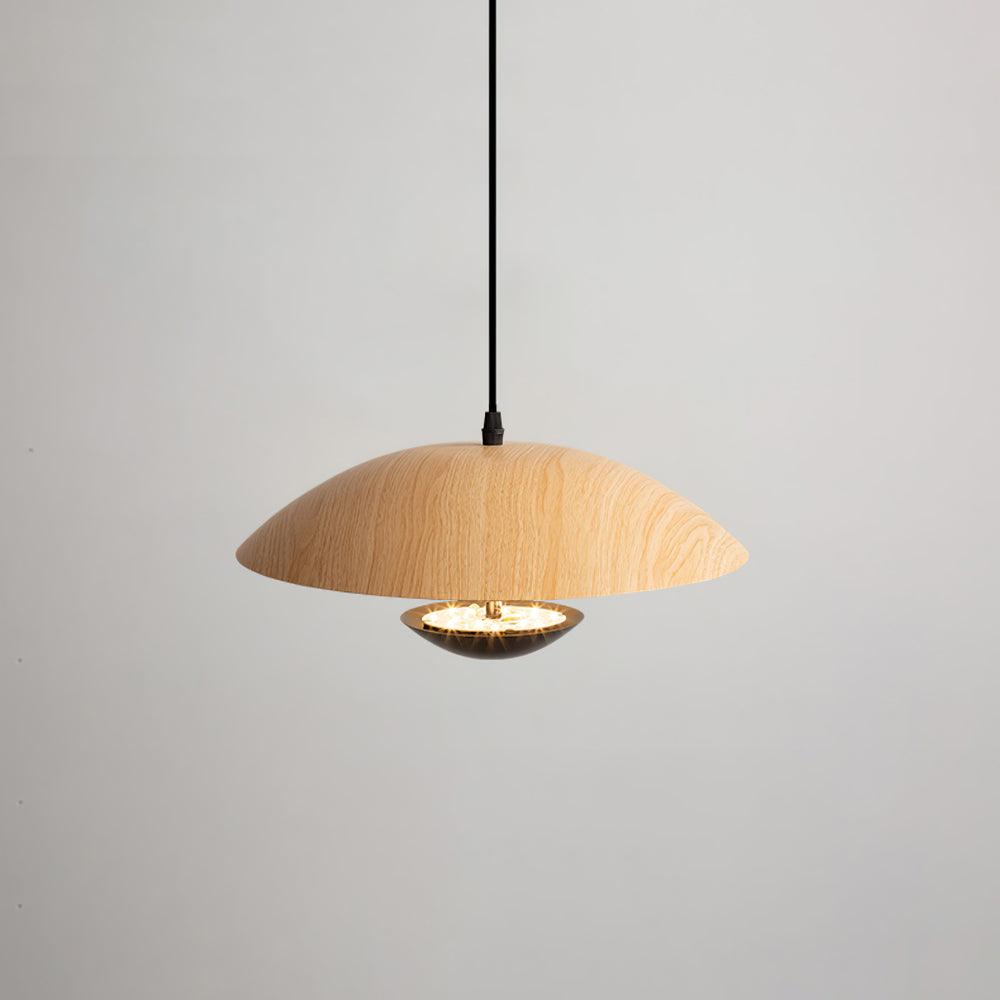 Frisbee Houselight Pendant Lamp