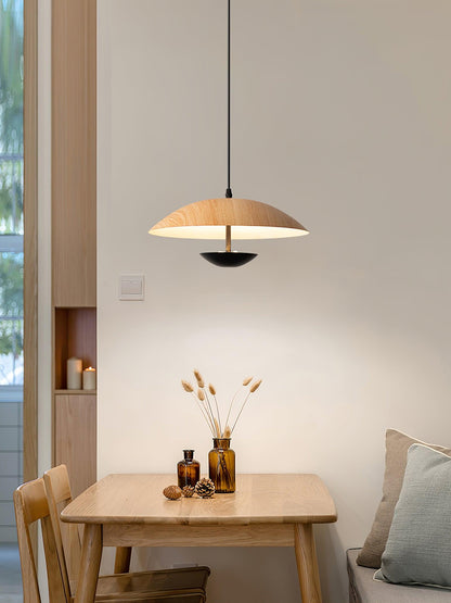 Frisbee Houselight Pendant Lamp