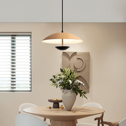 Frisbee Houselight Pendant Lamp