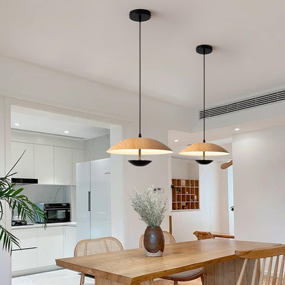 Frisbee Houselight Pendant Lamp