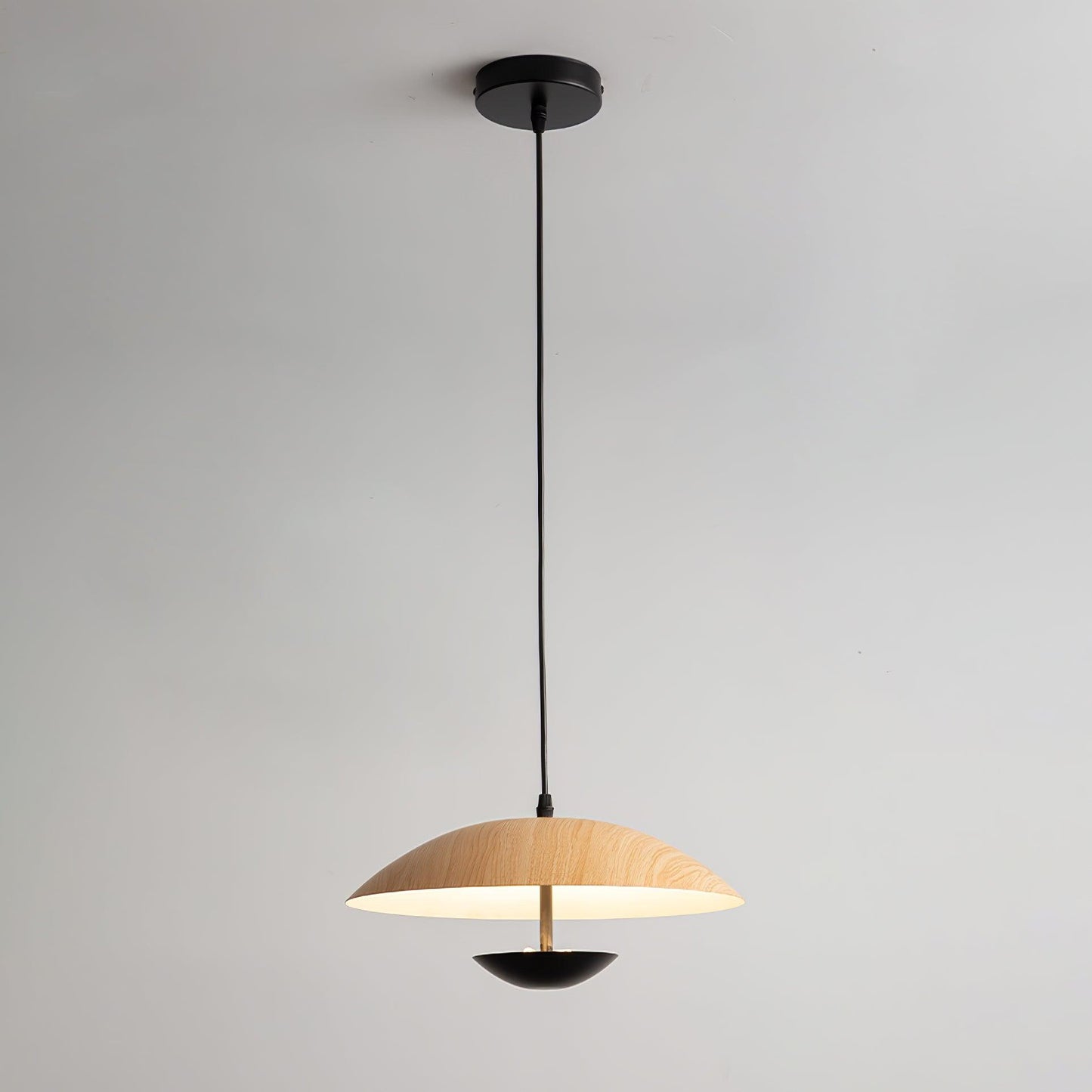 Frisbee Houselight Pendant Lamp