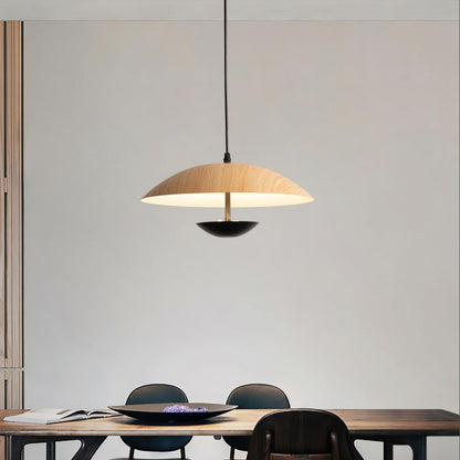 Frisbee Houselight Pendant Lamp