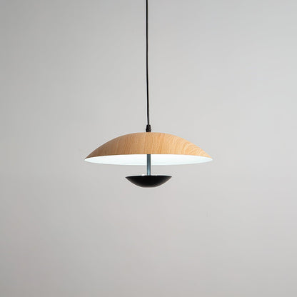 Frisbee Houselight Pendant Lamp