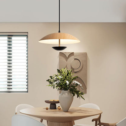 Frisbee Houselight Pendant Lamp