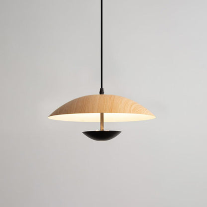 Frisbee Houselight Pendant Lamp