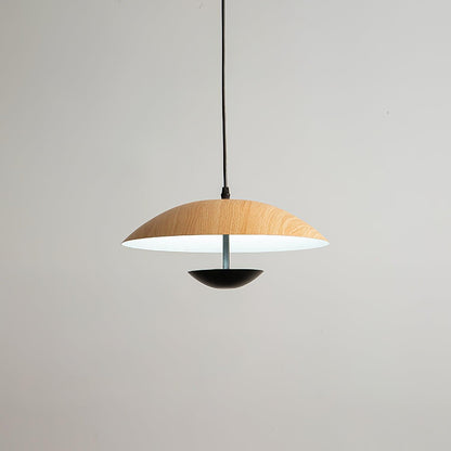 Frisbee Houselight Pendant Lamp