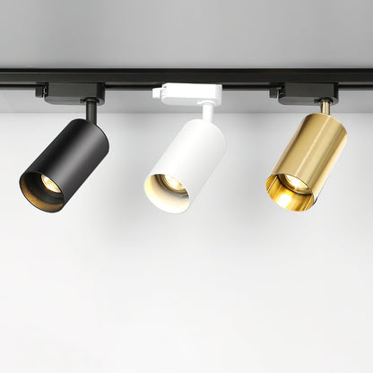 Gilded Rail Track Light